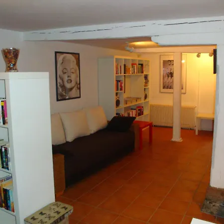 Maison De Alsace - Elsass - House Alsace Casa de Férias Bischwiller