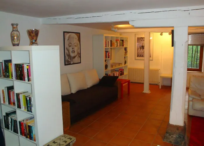 Maison De Alsace - Elsass - House Alsace 別荘 ビシュヴィレール